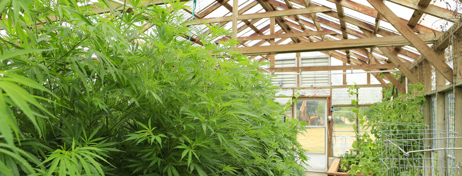 Security Solutions for Apartments in Melbourne, FL